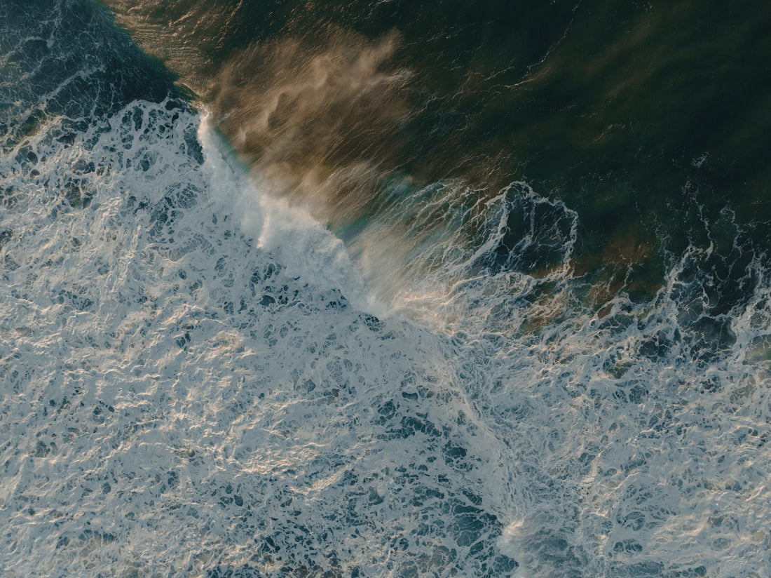 Boost Gut Health and Manage Stress Naturally